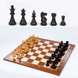 DGT Modern Staunton Weighted Chess Pieces